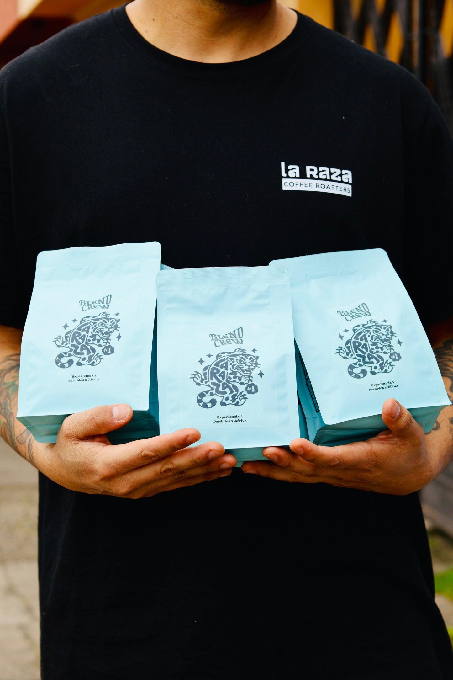 Perdidos x África – Blend Crew (Edición Limitada)