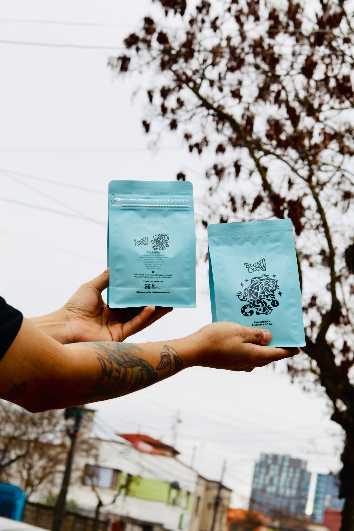 Perdidos x África – Blend Crew (Edición Limitada)