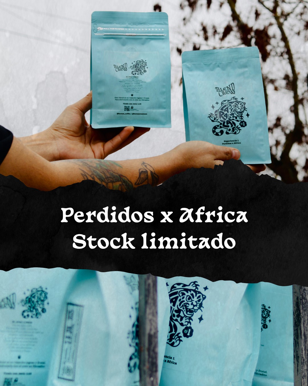 Perdidos x África – Blend Crew (Edición Limitada)