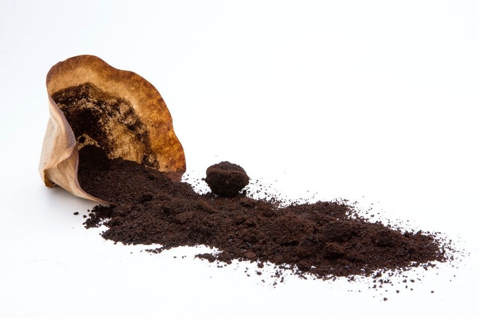 Descubre los Beneficios de la Borra de Café en Plantas y Jardinería