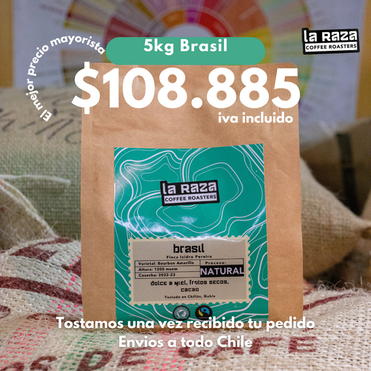 5Kg Brasil – Bourbon amarillo natural Precio exclusivo mayorista