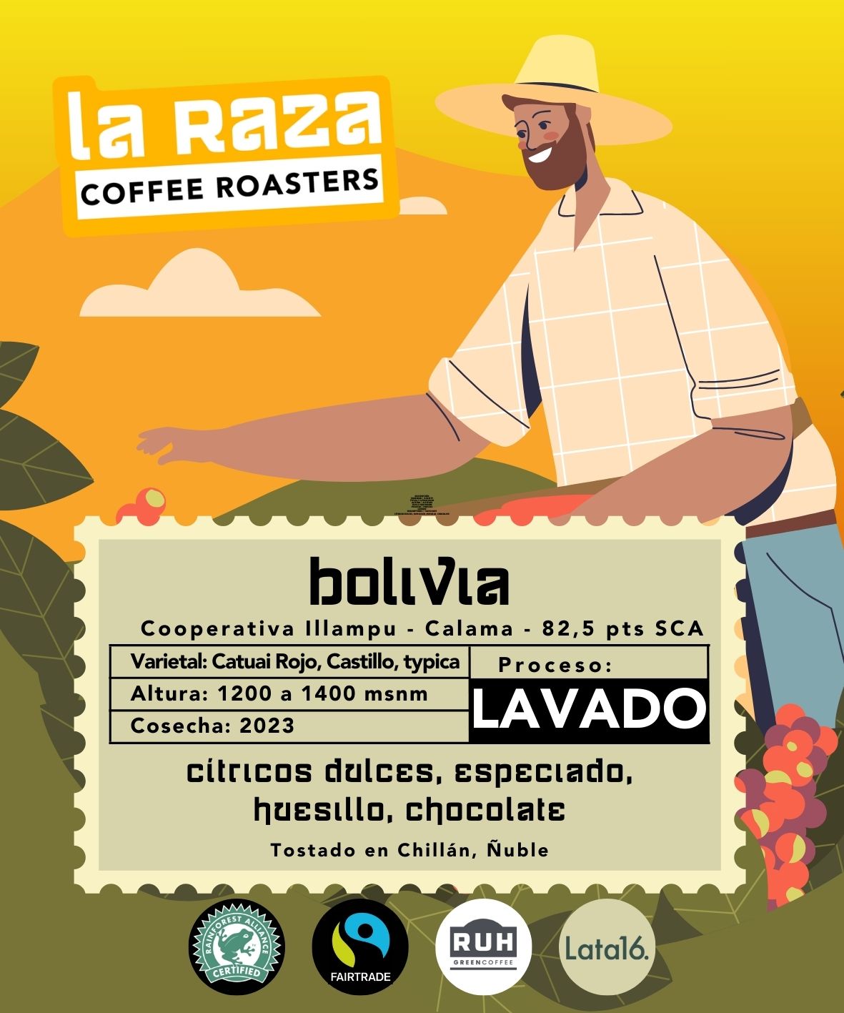 Bolivia Carlos illampu - Lavado - 500grs