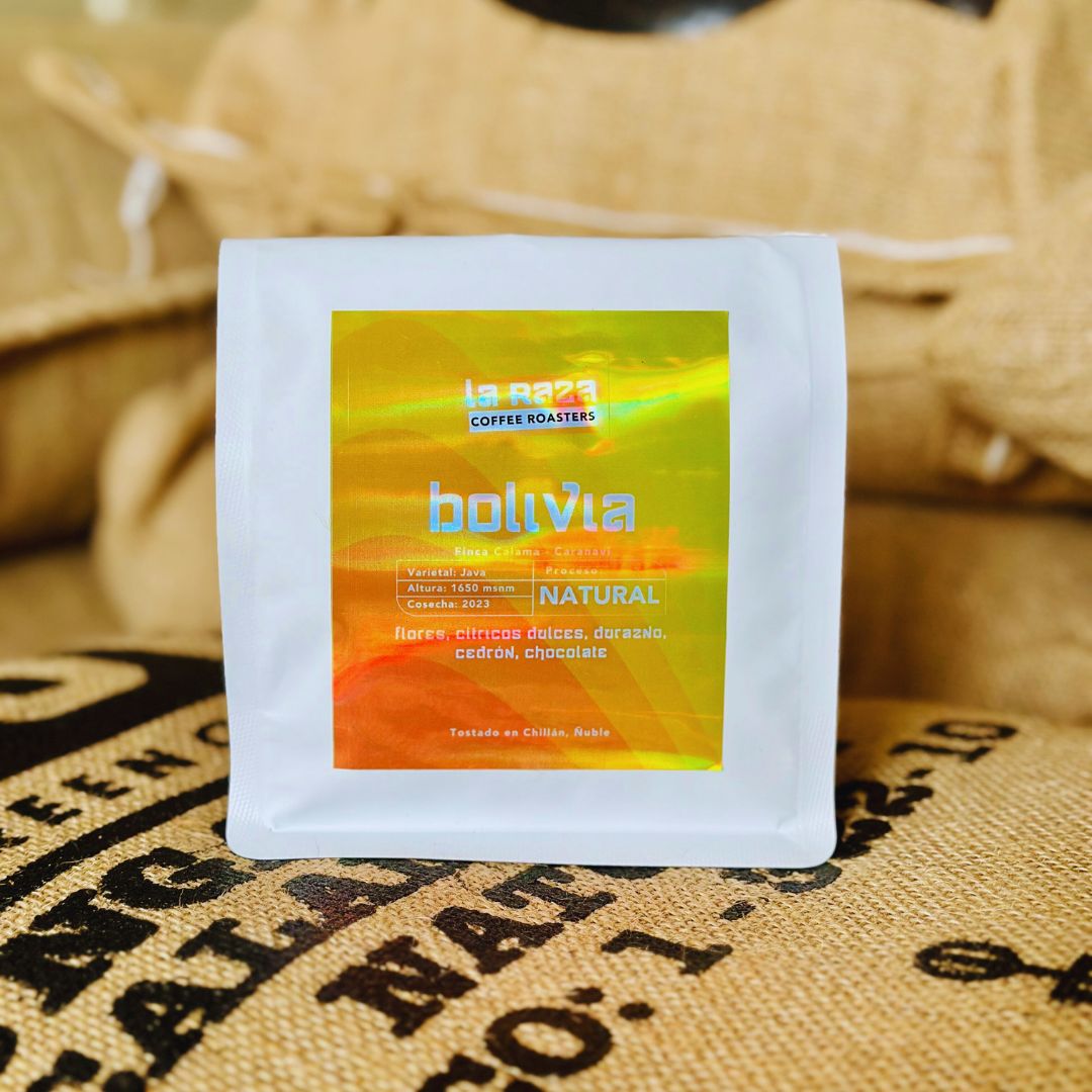 Bolivia – Java Natural Yungas