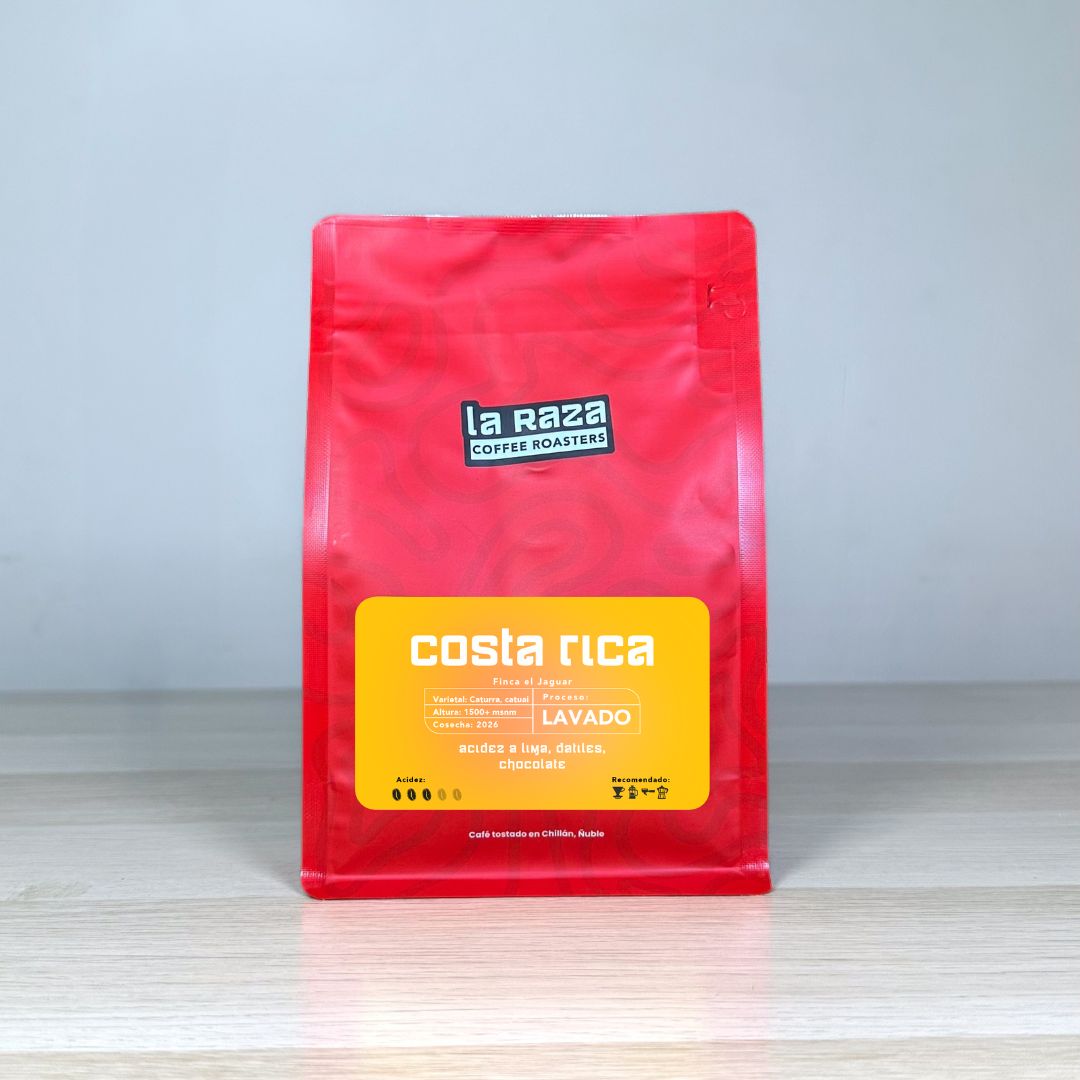 Costa Rica el Jaguar